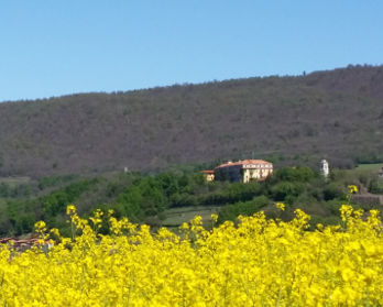 Serra Morenica - bed & breakfast l'aBBaino