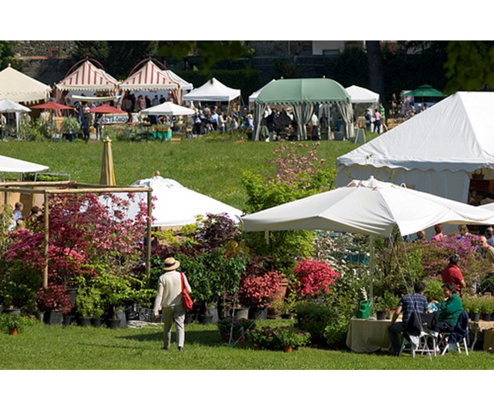 masino 3 giorni giardino